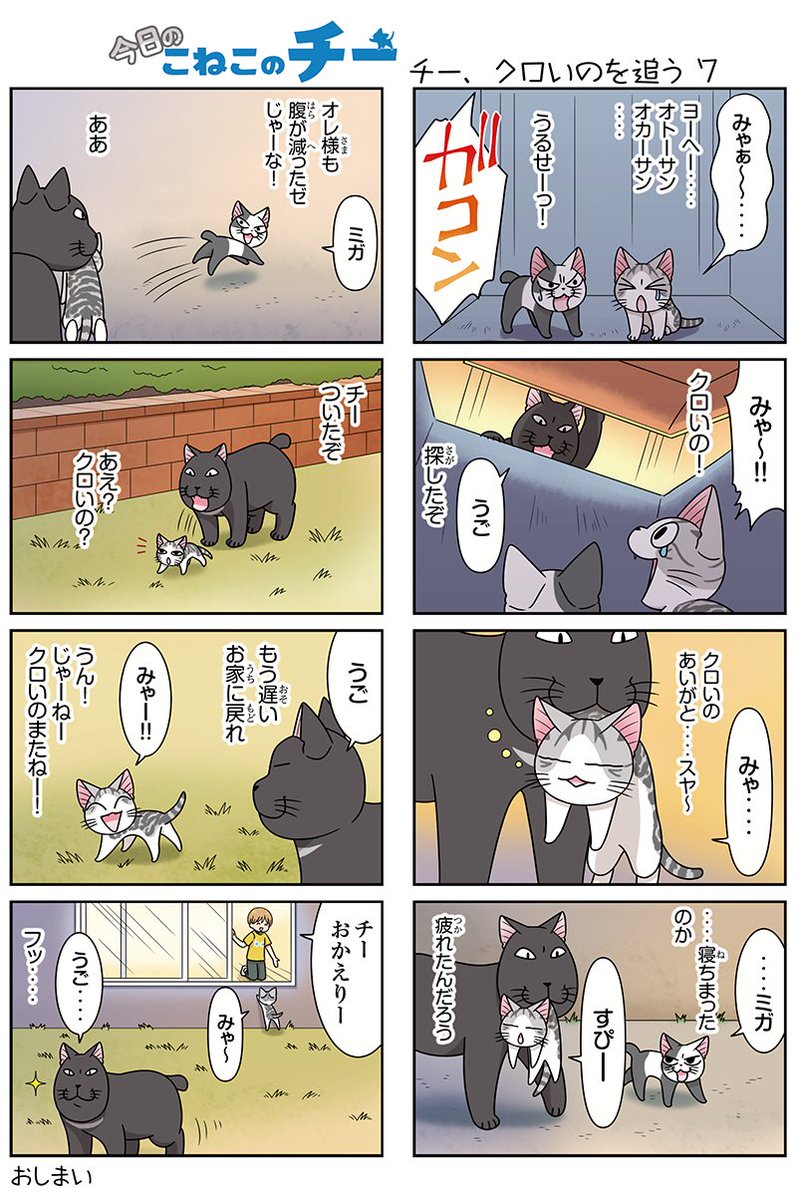 8コママンガ【今日のこねこのチー】チー、クロいのを追う7★単行本2巻発売中!★コミックボンボンで試し読みができる!#こね 8コママンガ【今日のこねこのチー】チー、クロいのを追う7★単行本2巻発売中!★コミックボンボンで試し読みができる!#こね
