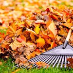 Historical Museum celebrates autumn