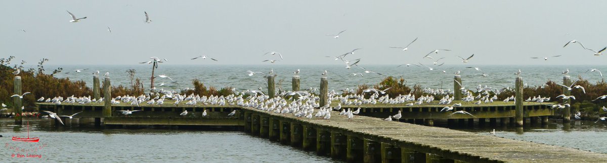 #fotografie
