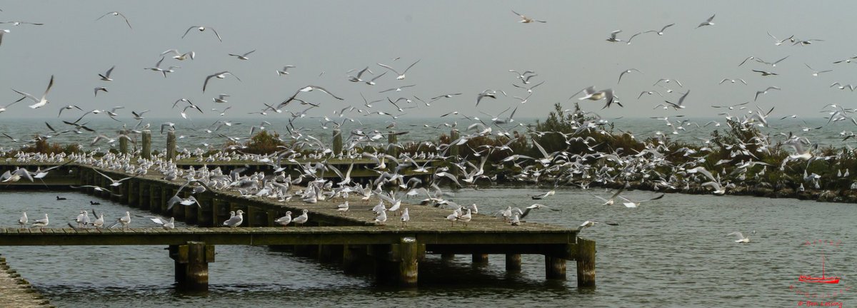 #fotografie
