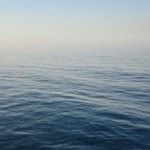 Man, 23, dies after fall from personal watercraft in Lake Michigan