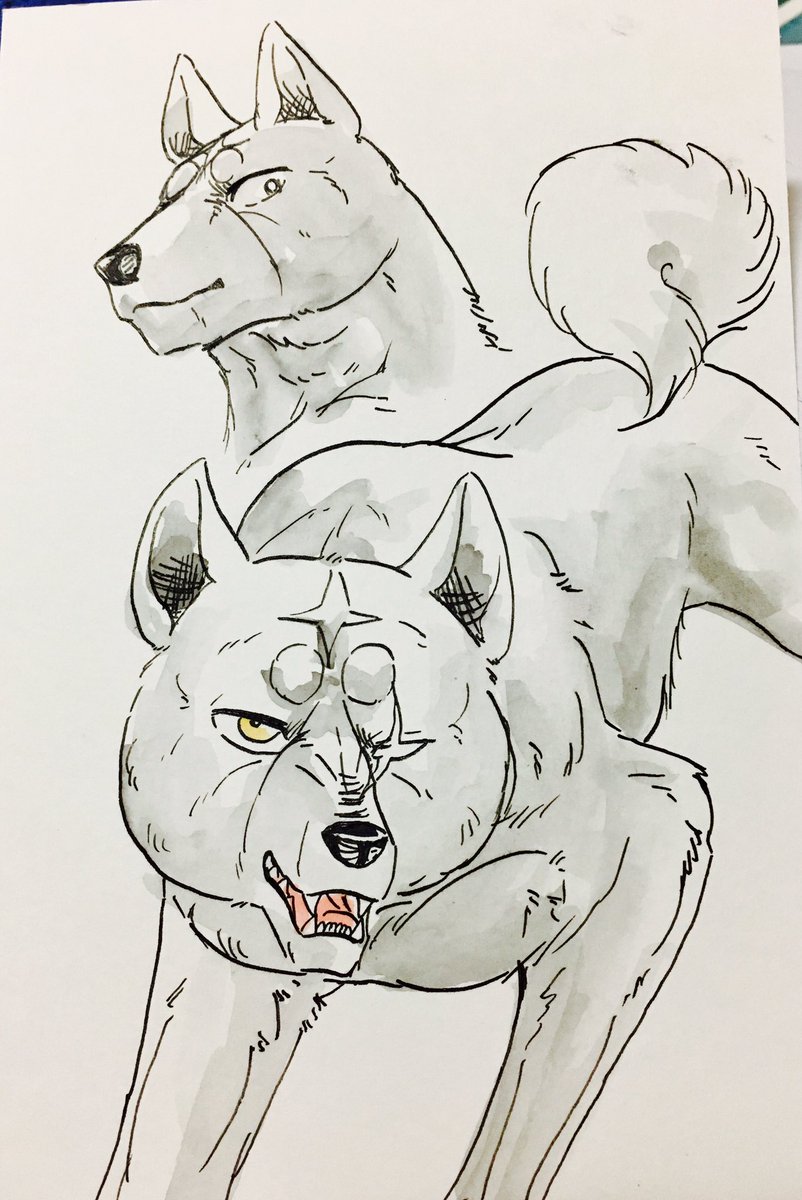 最新作の銀牙THELASTWARS毎週楽しみに読んでます。頭のてっぺんから足の先まで犬にまみれた世界観、唯一無二で最高で 最新作の銀牙THELASTWARS毎週楽しみに読んでます。頭のてっぺんから足の先まで犬にまみれた世界観、唯一無二で最高で