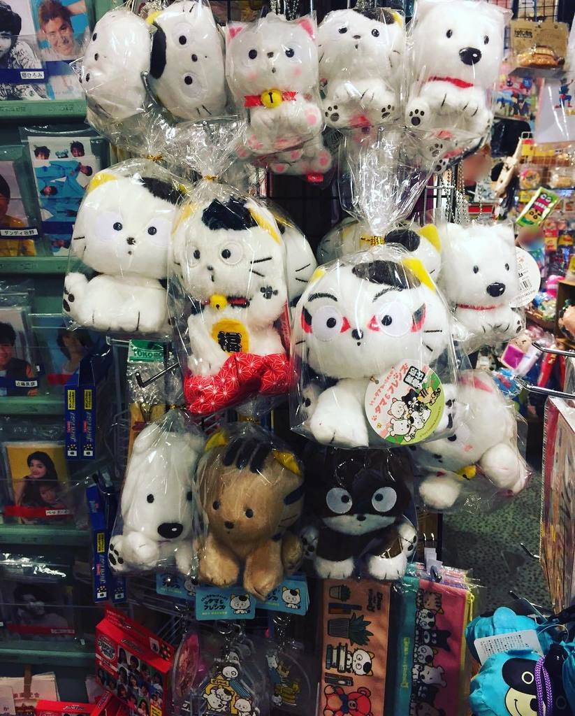 🐈タマ&フレンズ🐾ぬいぐるみ類どーんと再入荷🎣造形すばらしい👏仲間たちみんなそろえたくなる🐶#ハイカラ横丁 #う 🐈タマ&フレンズ🐾ぬいぐるみ類どーんと再入荷🎣造形すばらしい👏仲間たちみんなそろえたくなる🐶#ハイカラ横丁 #う