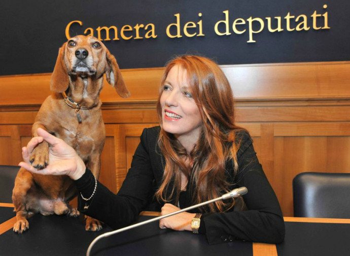 #Parlamento