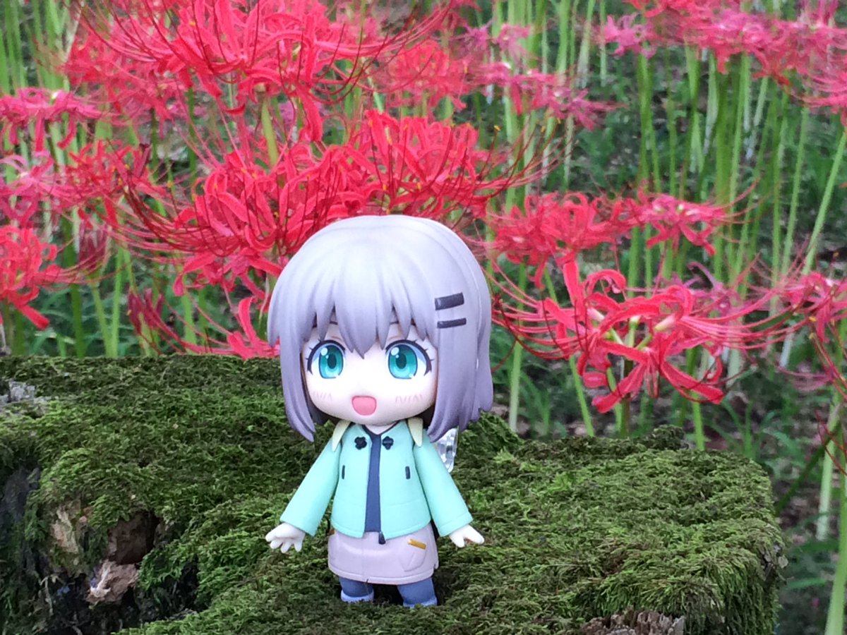 巾着田来ました綺麗ですよん。#ヤマノススメ 巾着田来ました綺麗ですよん。#ヤマノススメ