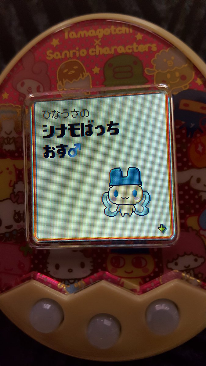 たまごっち成長!お顔がシナモンのまめっちって感じ。羽はちょーちょっちのが残ったよ。 #たまごっちみくす #たまごっちみく たまごっち成長!お顔がシナモンのまめっちって感じ。羽はちょーちょっちのが残ったよ。 #たまごっちみくす #たまごっちみく