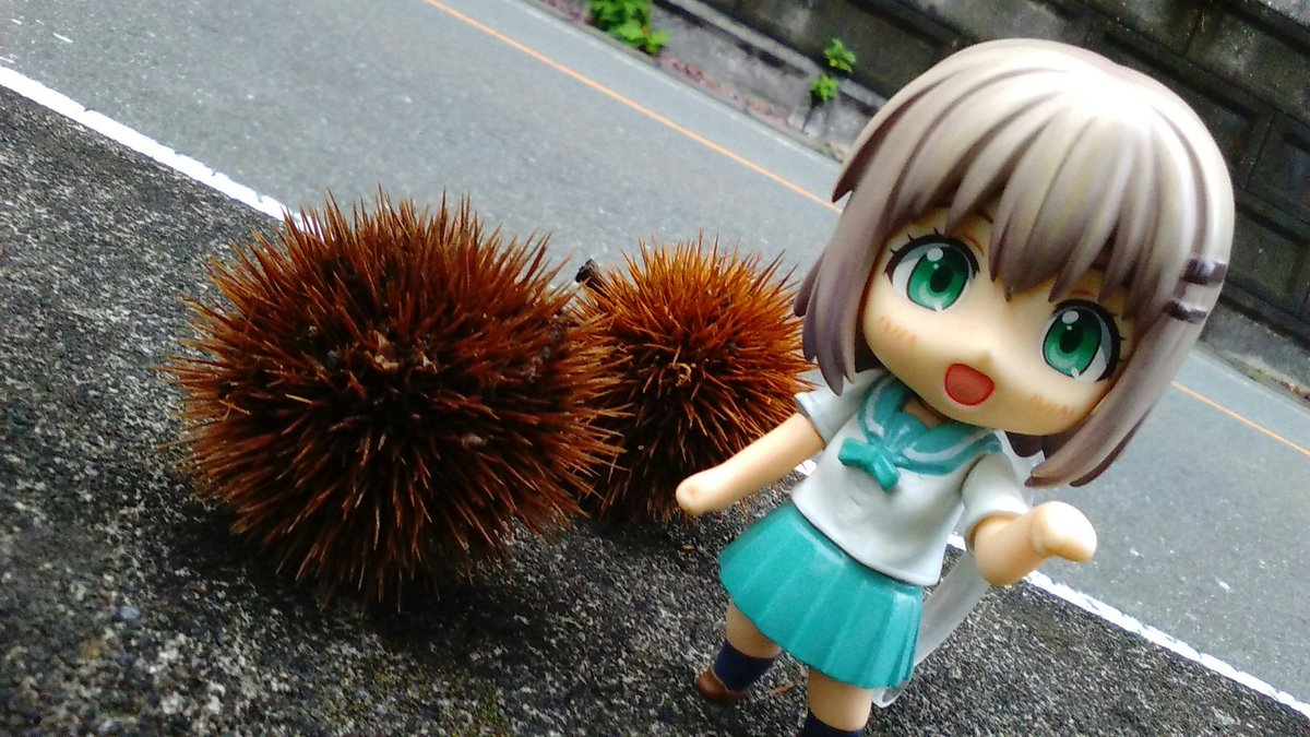 9/19【あき】【既出】【過去】秋色の風に吹かれて…🍁🌾あおひな秋のおでかけ散歩🐾今年も方々の秋をねんどろ達と感じていき 9/19【あき】【既出】【過去】秋色の風に吹かれて…🍁🌾あおひな秋のおでかけ散歩🐾今年も方々の秋をねんどろ達と感じていき