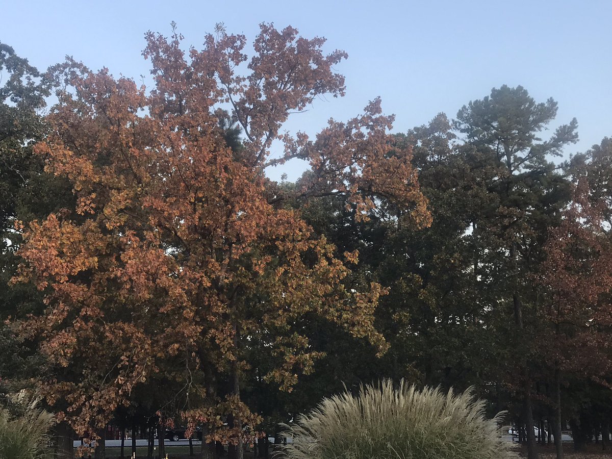 #arwx