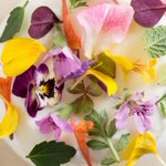 This new Chicago restaurant has Nordic influences
