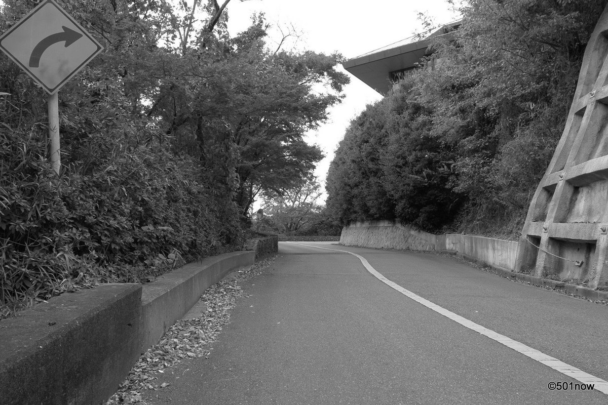 『再度山』#神戸 #金星台 #写真撮ってる人と繋がりたい#写真好きな人と繋がりたい#ファインダー越しの私の世界#写真 # 『再度山』#神戸 #金星台 #写真撮ってる人と繋がりたい#写真好きな人と繋がりたい#ファインダー越しの私の世界#写真 #