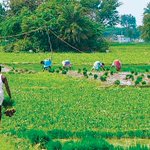 Cong woos farmers with farm loan waiver promise
