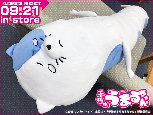 【出荷情報】再生産『干物妹!うまるちゃん ネコロンブスBigぬいぐるみ』いよいよ明日から、ヤツが店頭で見られるのん♪ T 【出荷情報】再生産『干物妹!うまるちゃん ネコロンブスBigぬいぐるみ』いよいよ明日から、ヤツが店頭で見られるのん♪ T