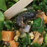 Man finds dead rodent in salad at Reykjavik restaurant