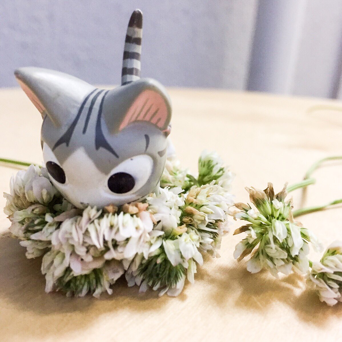 ヨーヘーに おみやげ、もってかえうんら。みゃ?ちゃんと ついてきてねー#こねこのチー #チーズスイートホーム #チー # ヨーヘーに おみやげ、もってかえうんら。みゃ?ちゃんと ついてきてねー#こねこのチー #チーズスイートホーム #チー #
