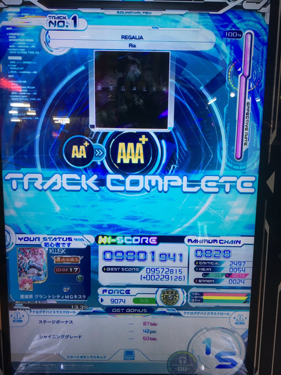 なんかレガリア鳥+出た なんかレガリア鳥+出た