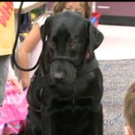 Students’ Best Friend: Cedar Falls Kindergartners Helping Train Service Dog