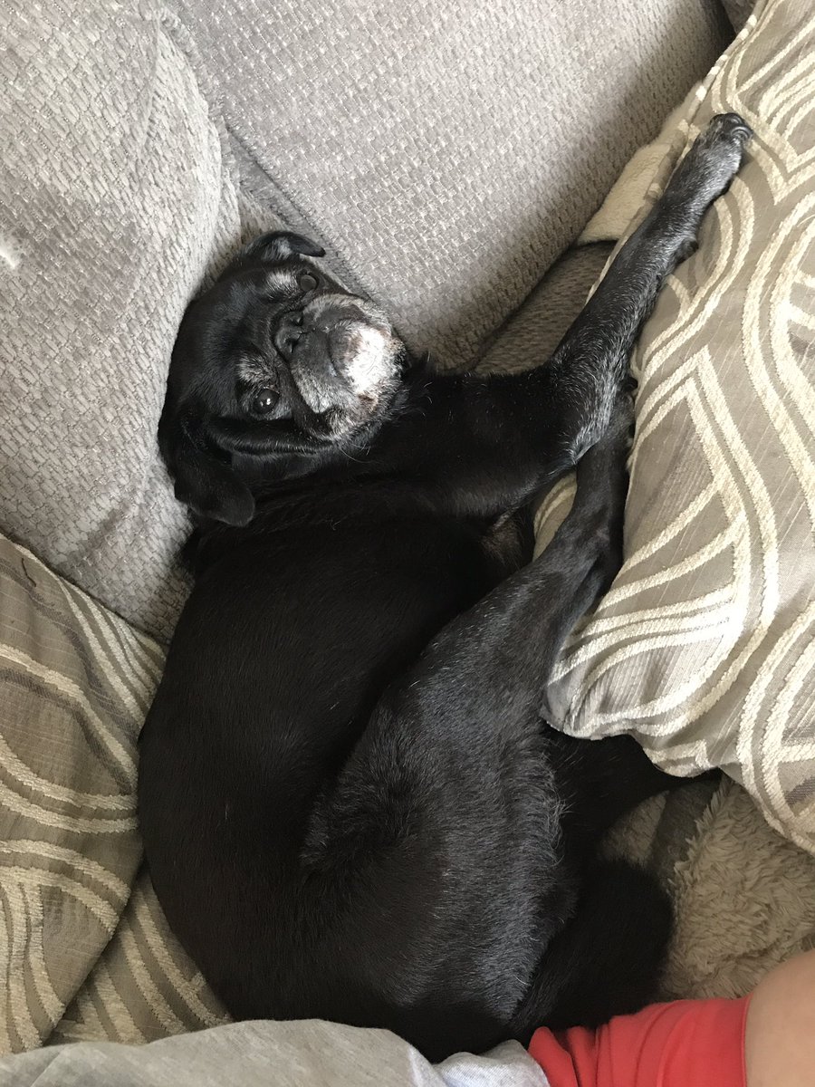 #pugchat