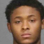 PD: Man shot and killed kitten, pet rat with BB gun