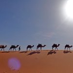 Camels, casbahs and more make for a magical visit to Morocco