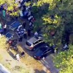 Ninth death confirmed after Florida nursing home left without A/C