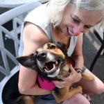 A Dog That Disappeared in Florida in 2016 'Some How, Some Way' Was Just Found in New York