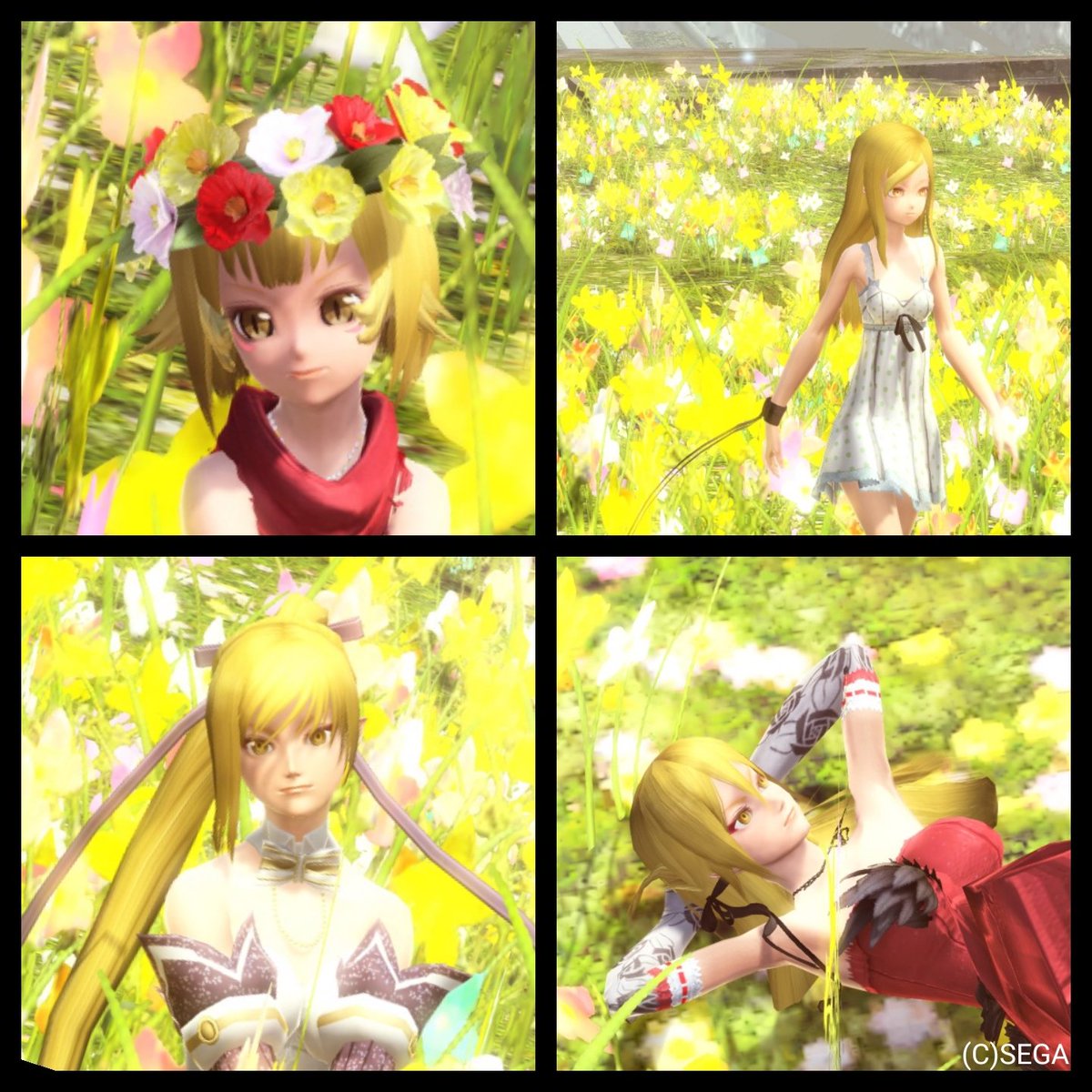おぱやいの#グッモー忍 #傷物語 #メンテの日じゃないけどssを貼る おぱやいの#グッモー忍 #傷物語 #メンテの日じゃないけどssを貼る