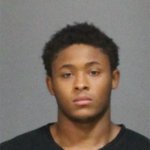 West Hartford man charged with killing kitten, shooting pet rat with BB gun