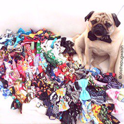 #pugchat