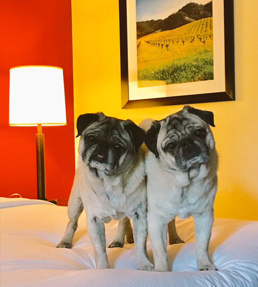 #pugchat