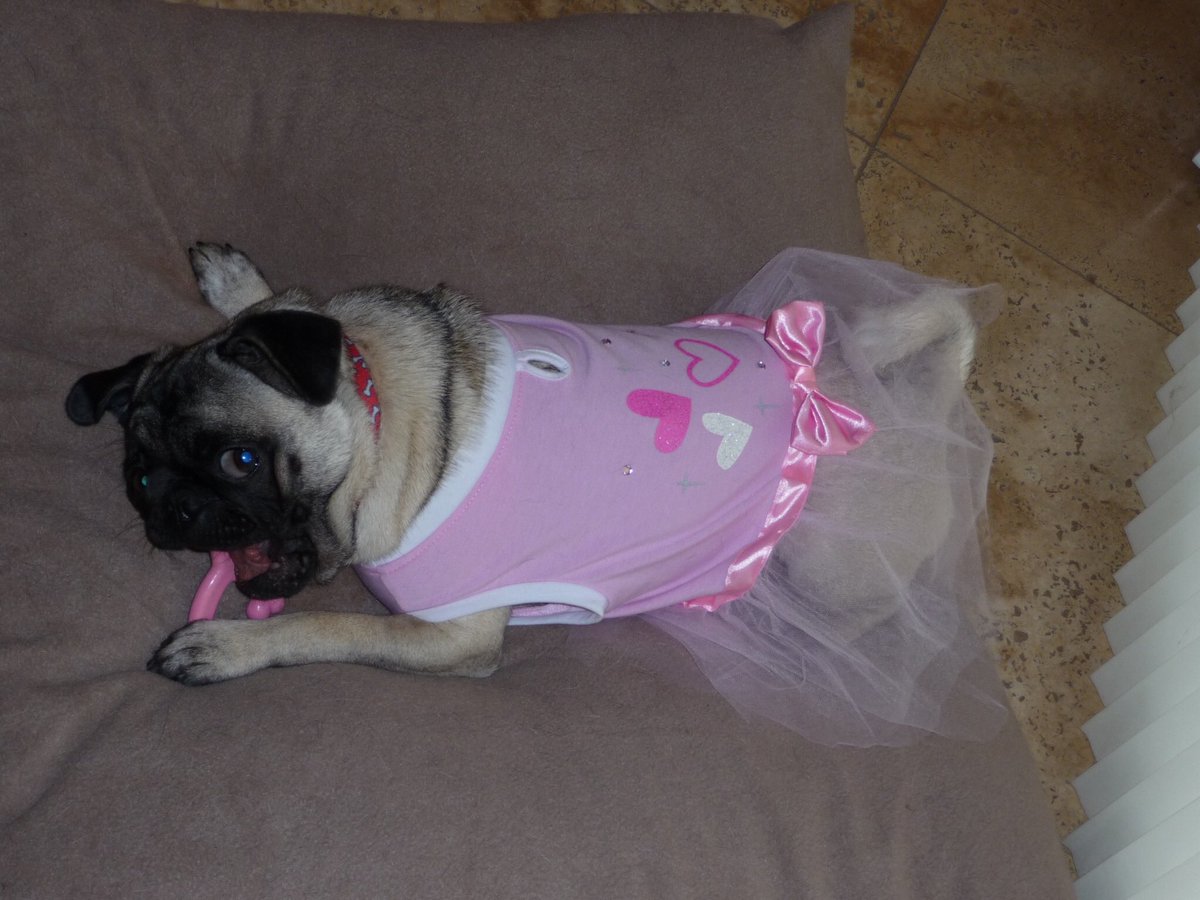 #pugchat