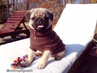 #pugchat