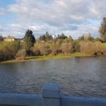 Carabineros halló cadáver en ribera del río Cruces en Mariquina