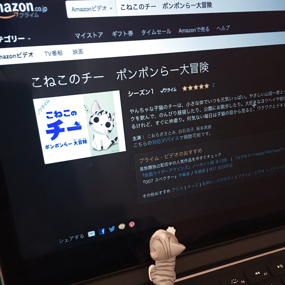 チーのアニメがアマゾンプライムれも みえうよー! #こねこのチー #チーズスイートホーム #アニメ #Amazon チーのアニメがアマゾンプライムれも みえうよー! #こねこのチー #チーズスイートホーム #アニメ #Amazon