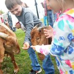 Season of fall festivals in Midstate kicks off this weekend