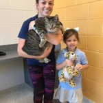 SC family adopts 24 lb. tubby tabby at Florida humane society
