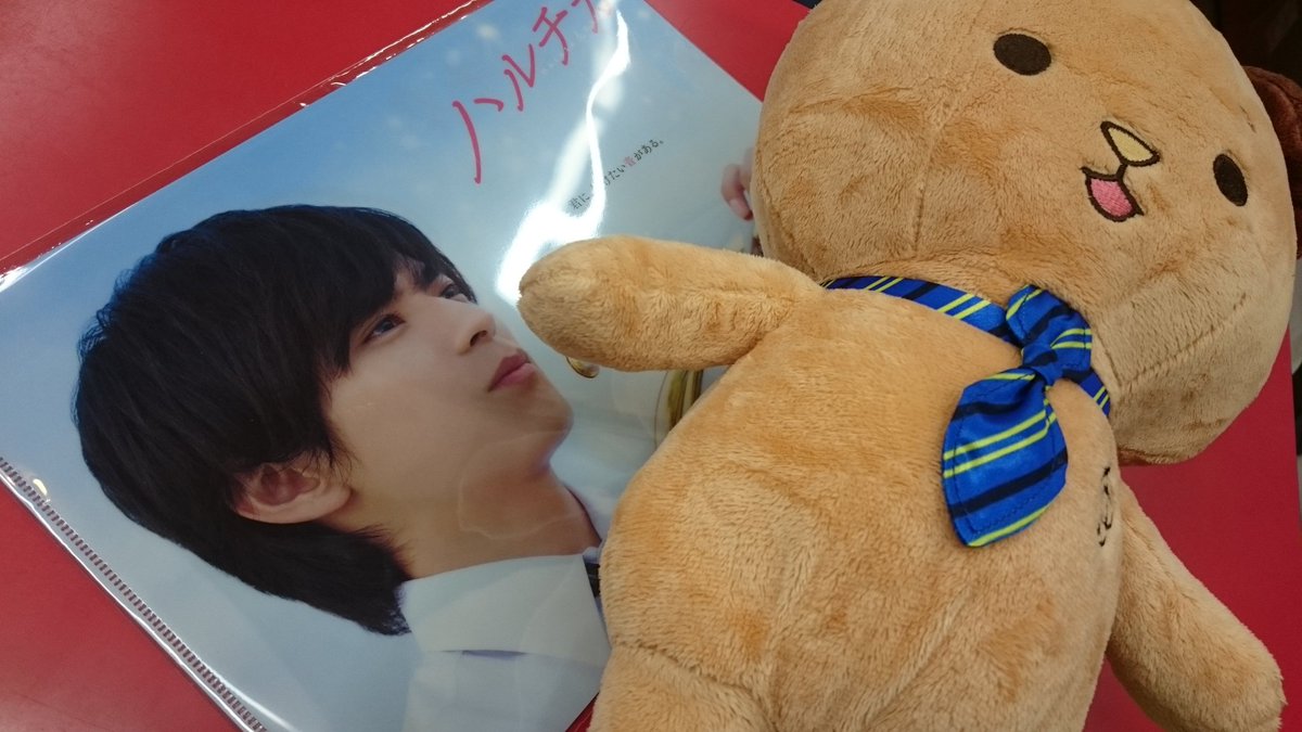 こんにピヨ🐤「ハルチカ」DVD、クリアファイル、そしてぬいぐるみBIG入荷ピヨ🐣クリアファイルと比較すると分かりやす こんにピヨ🐤「ハルチカ」DVD、クリアファイル、そしてぬいぐるみBIG入荷ピヨ🐣クリアファイルと比較すると分かりやす