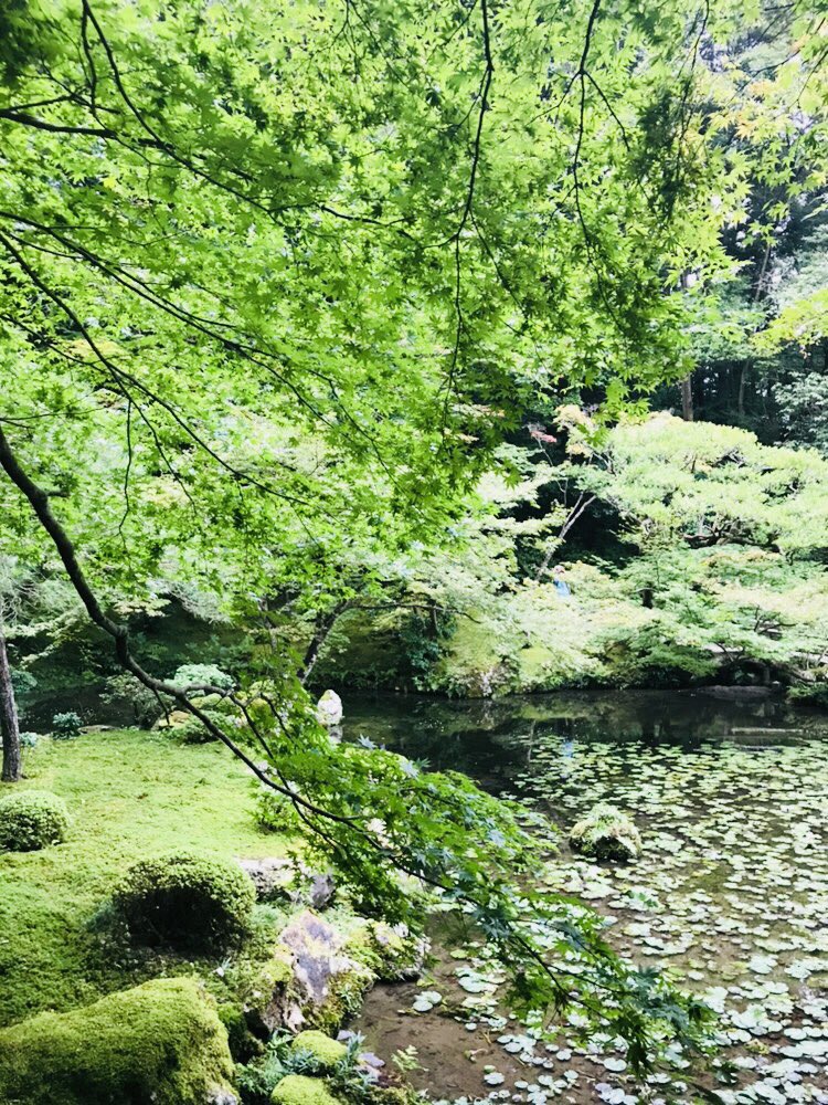 言の葉の庭って感じ 言の葉の庭って感じ