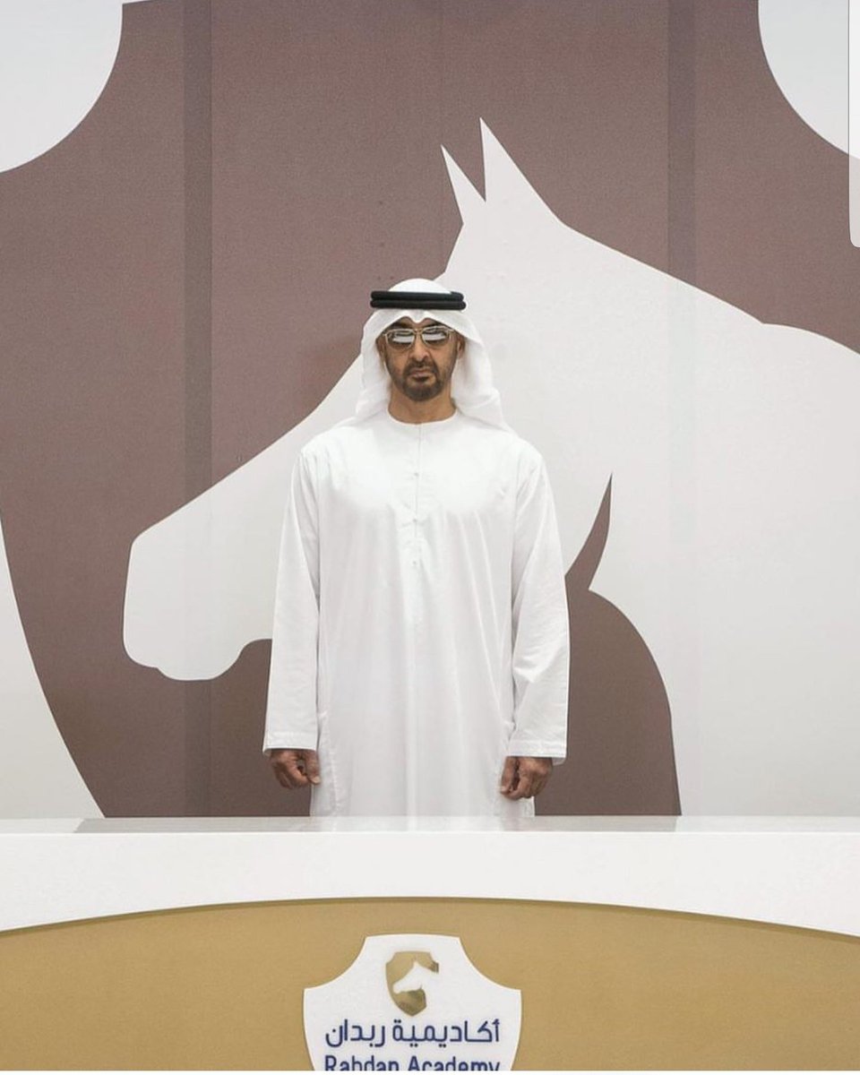 محمد بن زايد