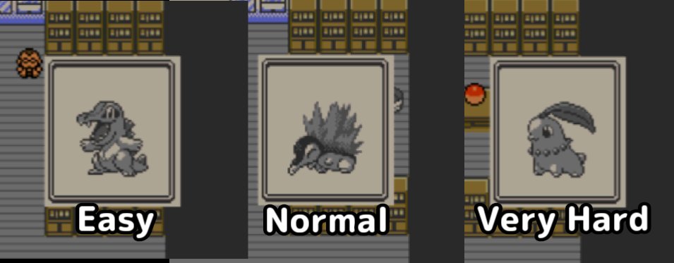 とてもわかりやすいポケットモンスター金銀 とてもわかりやすいポケットモンスター金銀