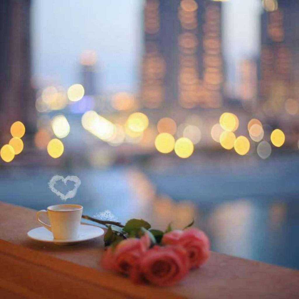 محمد بن راشد