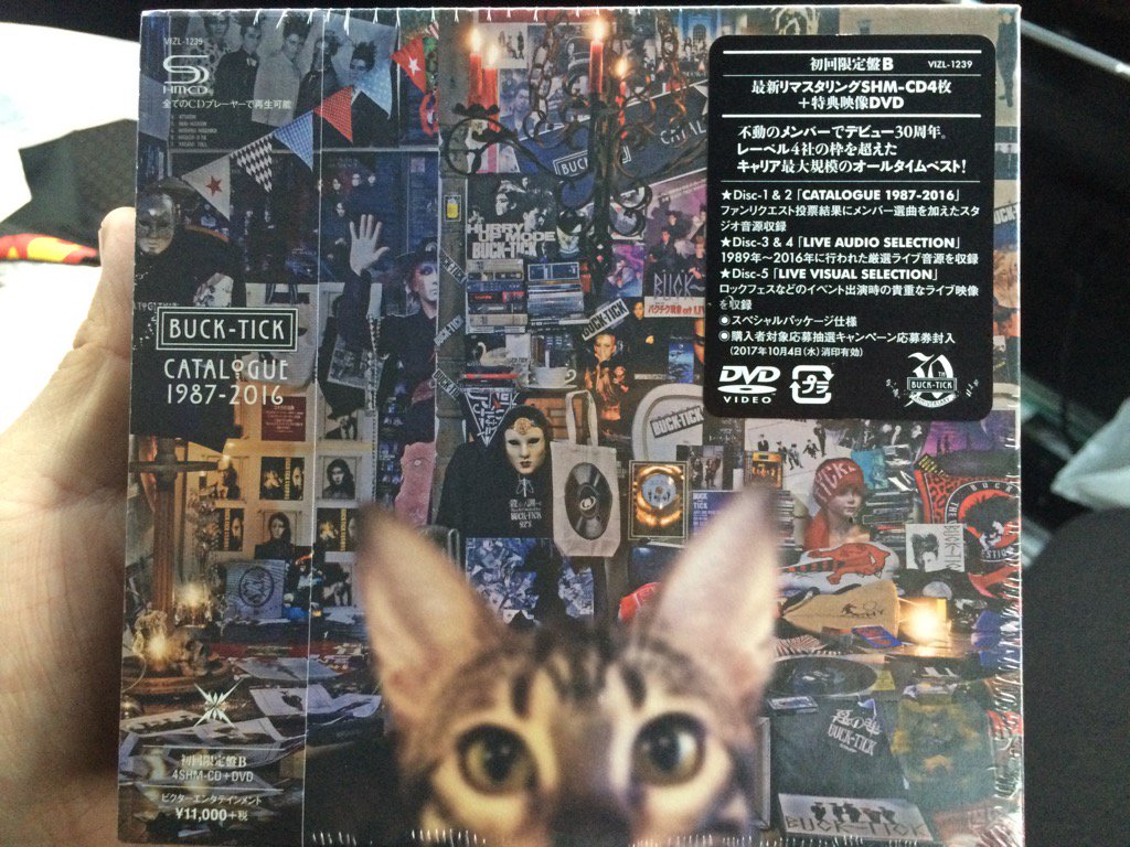 5年ぶりのカタログ届いた!!あらためて選曲みてみたらスタジオ音源とライブ音源とライブ映像で70曲も入ってんのに、悪の華も 5年ぶりのカタログ届いた!!あらためて選曲みてみたらスタジオ音源とライブ音源とライブ映像で70曲も入ってんのに、悪の華も