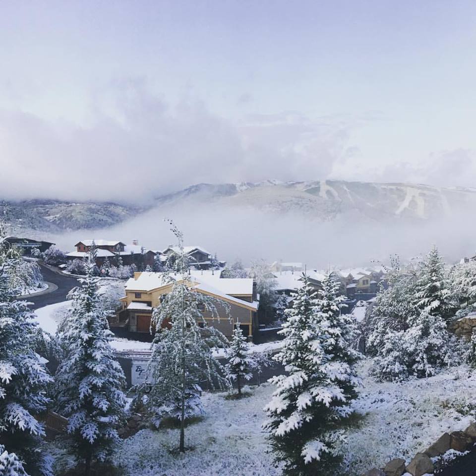 #utwx