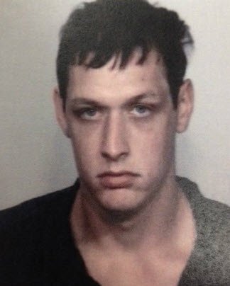 #HollyBobo