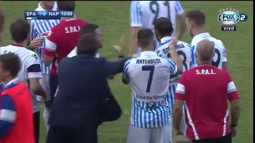 Spal