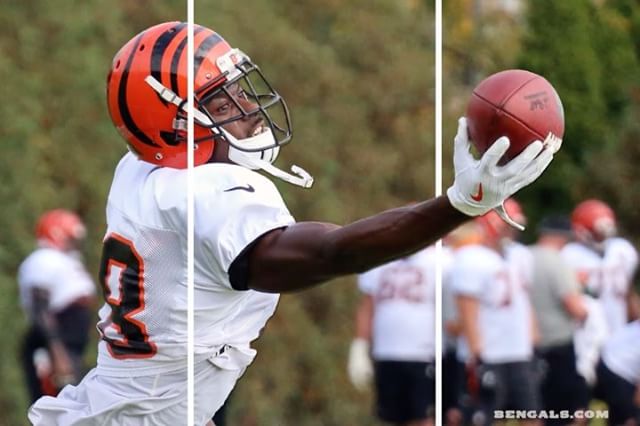 #Bengals50