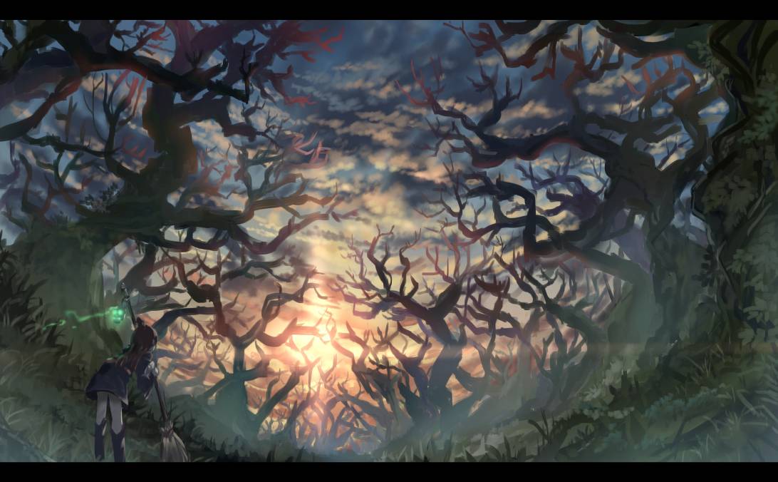 アルクトゥルスの森 | 餠 #LWA_jp #pixiv アルクトゥルスの森 | 餠 #LWA_jp #pixiv