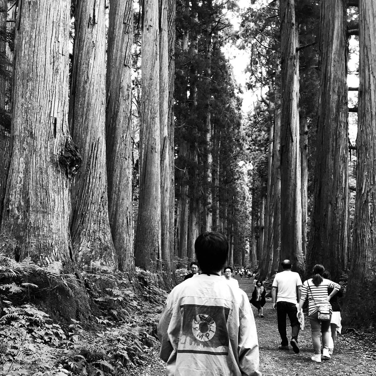 おはよございます。本日はボールルームへようこそ上映会に行ってまいります。 おはよございます。本日はボールルームへようこそ上映会に行ってまいります。
