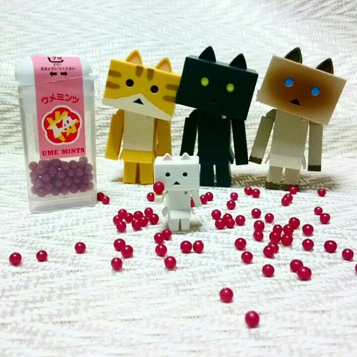 駄菓子屋のウメ仁丹♪すっば~い#ウメミンツ#ダンボー#danbo#ニャンボー#にゃんぼー 駄菓子屋のウメ仁丹♪すっば~い#ウメミンツ#ダンボー#danbo#ニャンボー#にゃんぼー