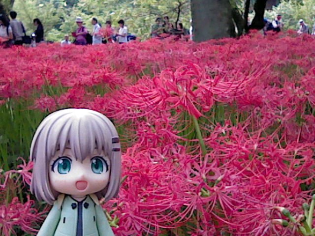 巾着田のねんどろいど写真。#ねんどろいど#ヤマノススメ 巾着田のねんどろいど写真。#ねんどろいど#ヤマノススメ