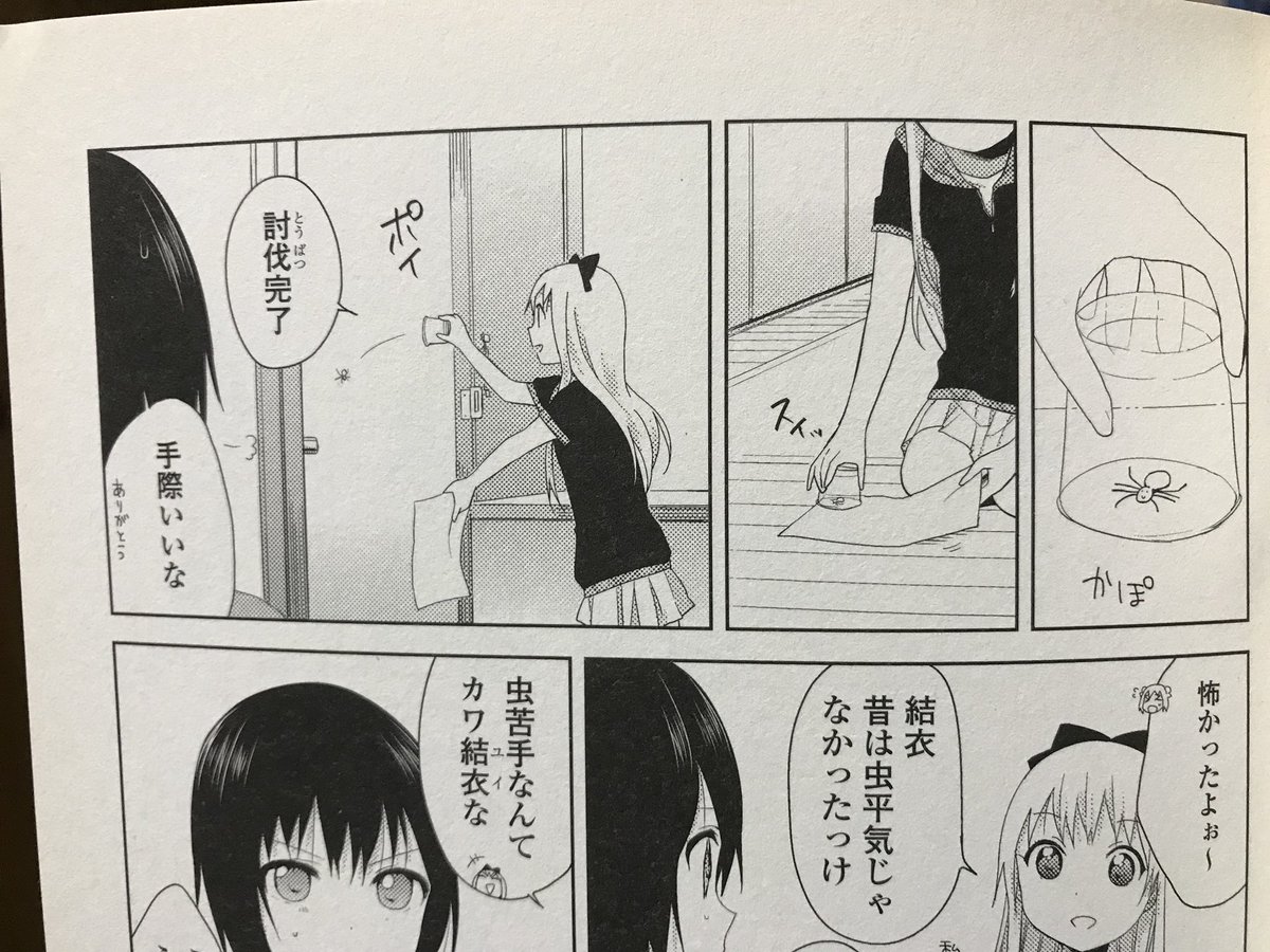 部屋にハエトリグモがいたのでゆるゆりでやってた方法でご退場いただいた。なもり先生ありがとう。 部屋にハエトリグモがいたのでゆるゆりでやってた方法でご退場いただいた。なもり先生ありがとう。